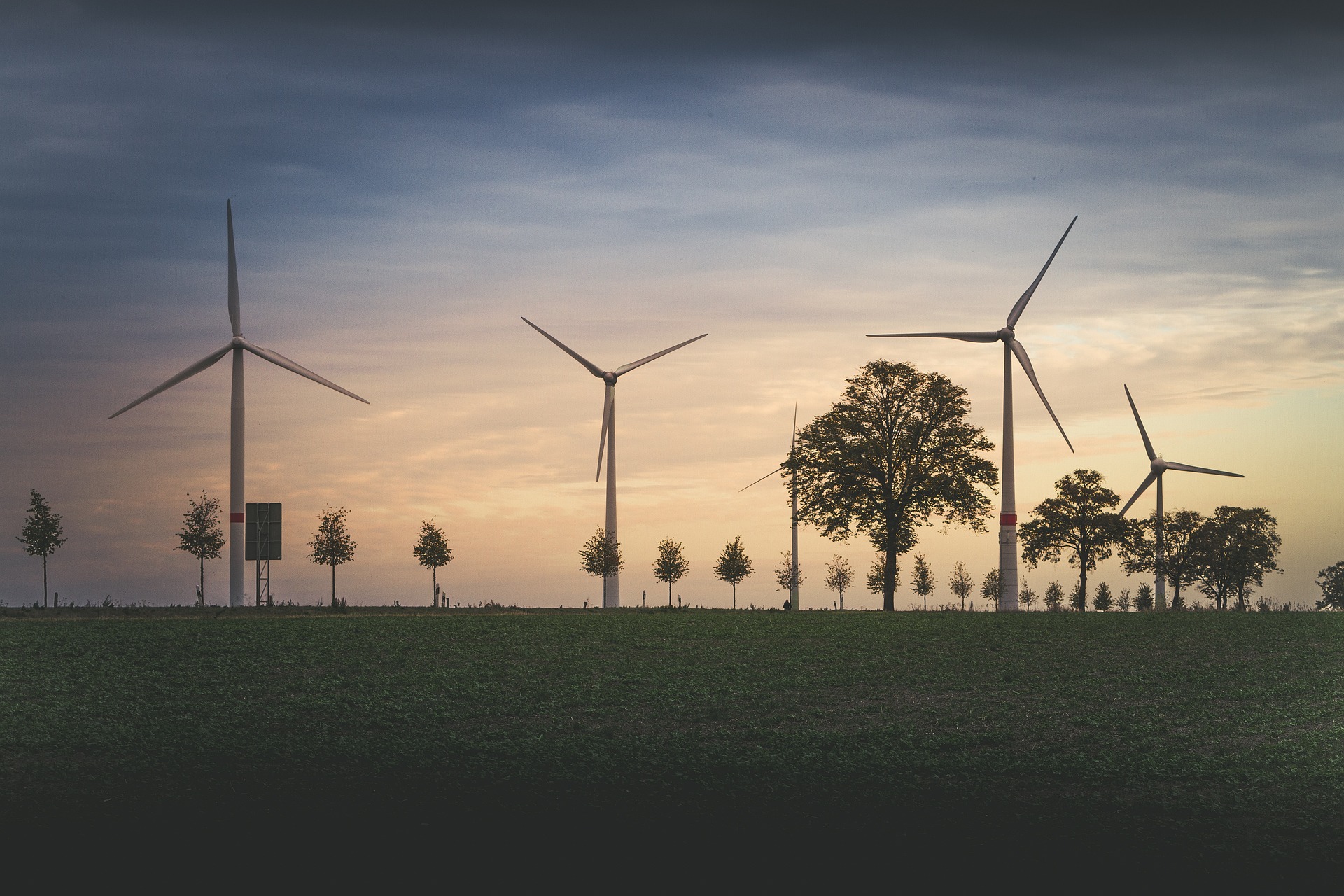 Abstract image representing environmental protection